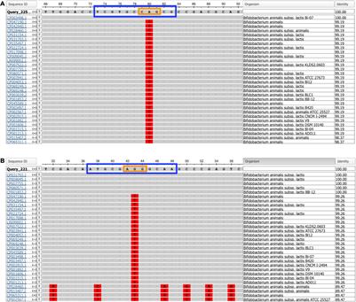 Locked Nucleic Acid Hydrolysis Probes for the Specific Identification of Probiotic Strains Bifidobacterium animalis subsp. lactis DSM 15954 and Bi-07™